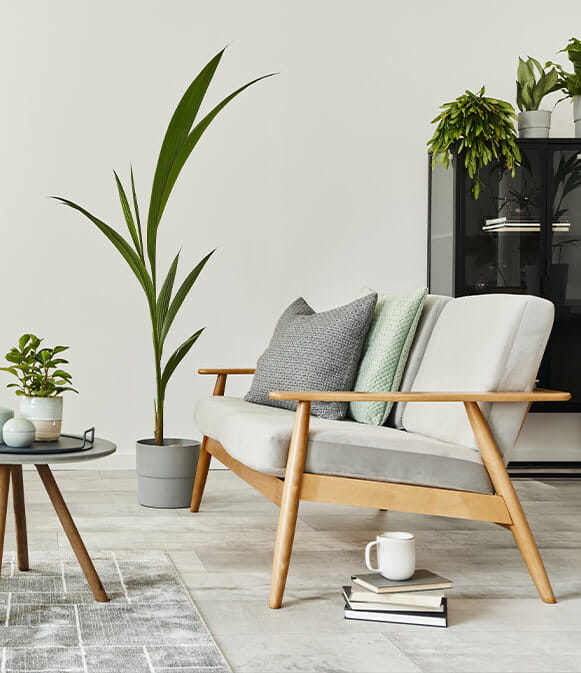 Premium Sofa